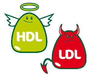 colesterolo-hdl-ldl
