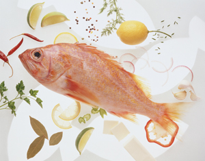 MANGIA_PESCE