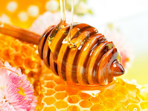 Food_Cakes_and_Sweet_Floral_honey_020448_