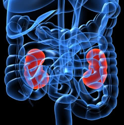 kidney_failure