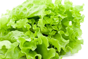 3922green_lettuce