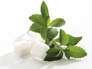 stevia_rebaudiana_europa