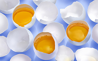 psd-food-illustrations-3111-egg-illustration-broken-eggs-with-yolk_1920x1200_74414