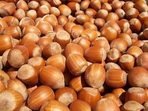 Selling_Hazelnuts