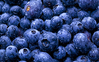 bluWWWWWWWWWWeberry-background-2