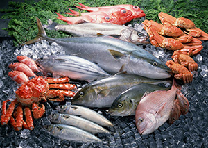 fresh_QQQQQfish__sea_food_20141222_1174153449