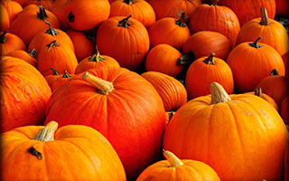 free-QWQWQWQWQWQWpumpkin-backgrounds-5-1